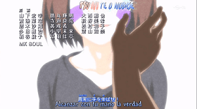 Naruto Shippuden Ed 29